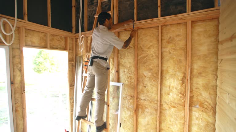 Insulation Air Sealing in Ridgeville, SC