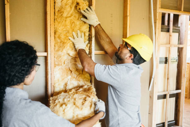 Best Spray Foam Insulation  in Ridgeville, SC